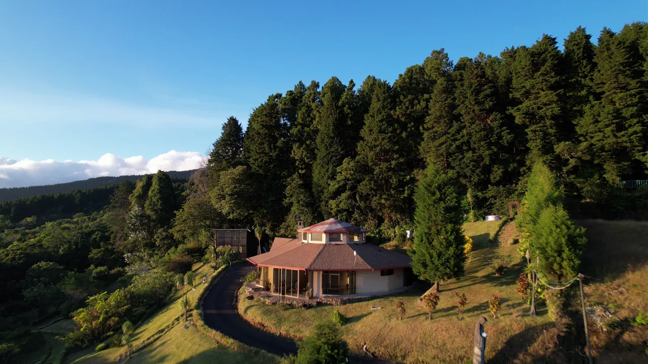 Rising over the surrounding forest