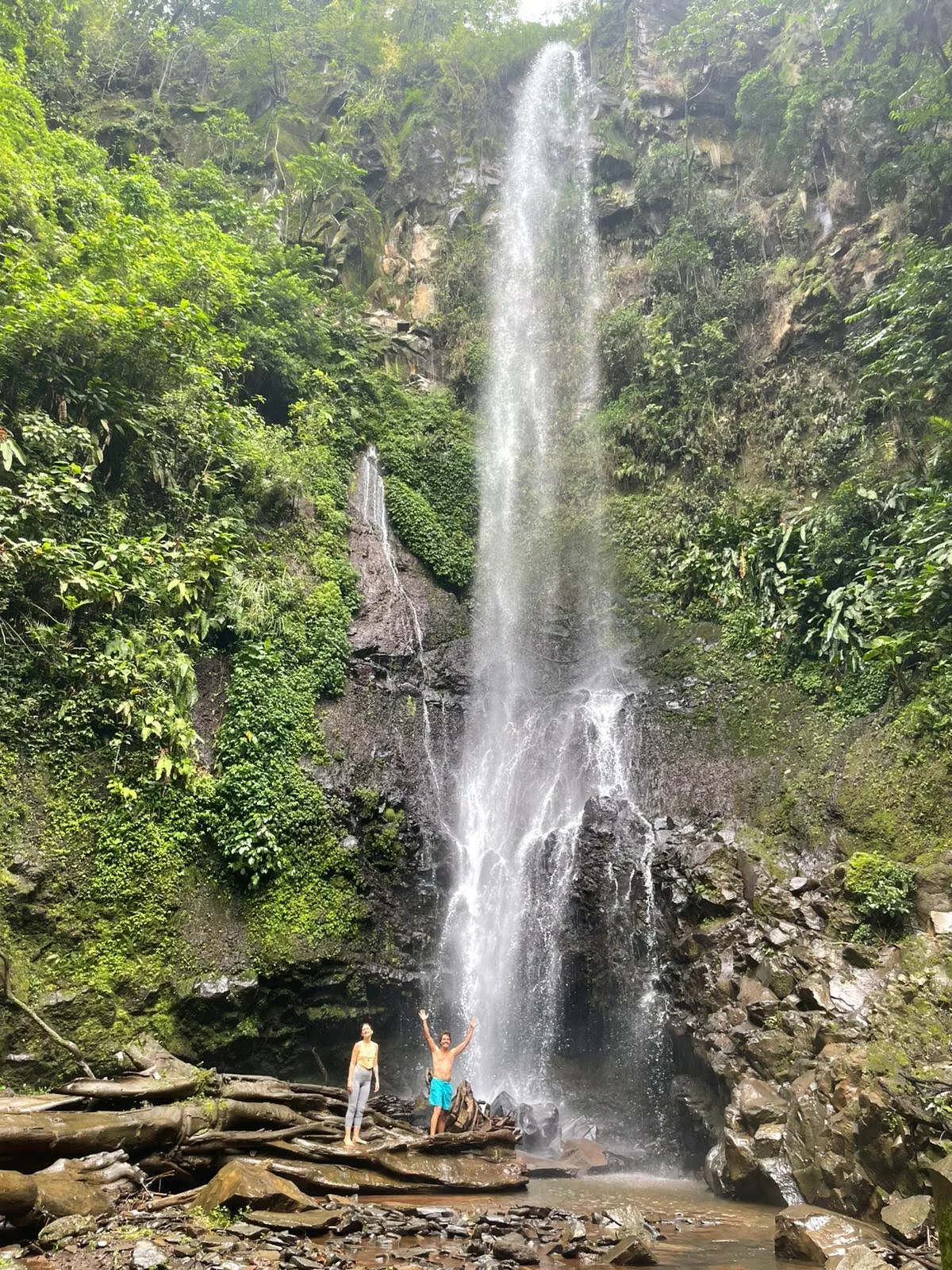 Tall waterfall in a green gorge